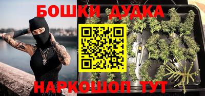 прущие крисы Лесосибирск