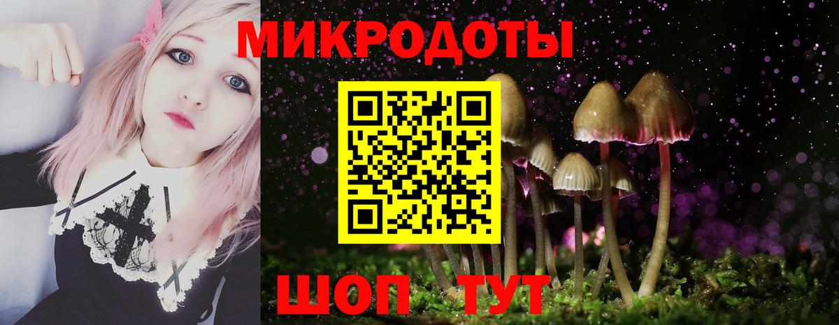 Галлюциногенные грибы ЛСД  купить закладку  Вход с VPN  Ессентуки  Галлюциногенные грибы Psilocybine cubensis 